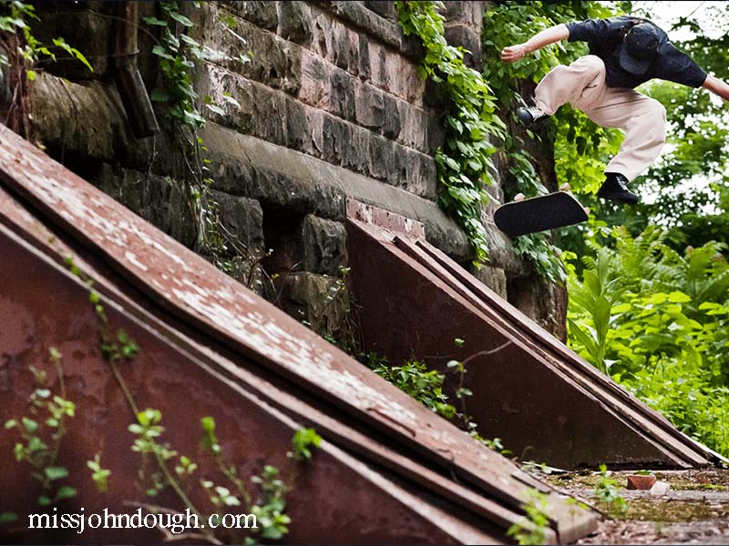 sean young kickflipping