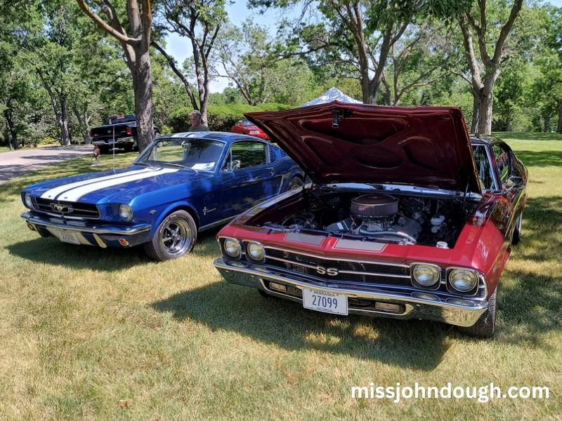 illinois car show